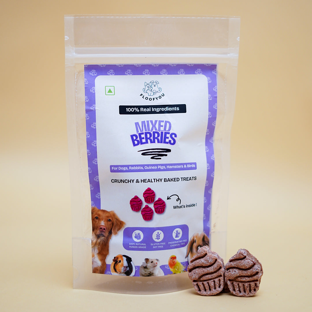 Mixed Berries Pure Veg Natural Healthy Treat for Rabbits, Guinea Pigs ...