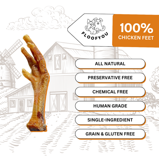 Chicken Feet Chew Dehydrated Natural Healthy Dog Treat
