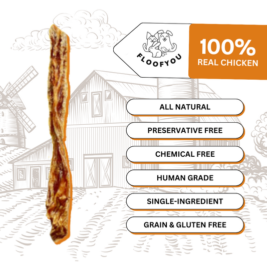 Chicken Breast Jerky Strips Dehydrated Natural Healthy Cat Treat
