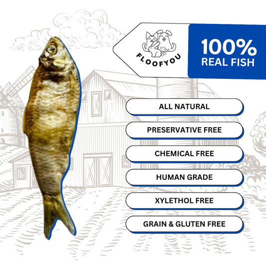 Anchovies Fish Whole Dehydrated Jerky Natural Healthy Cat Treat