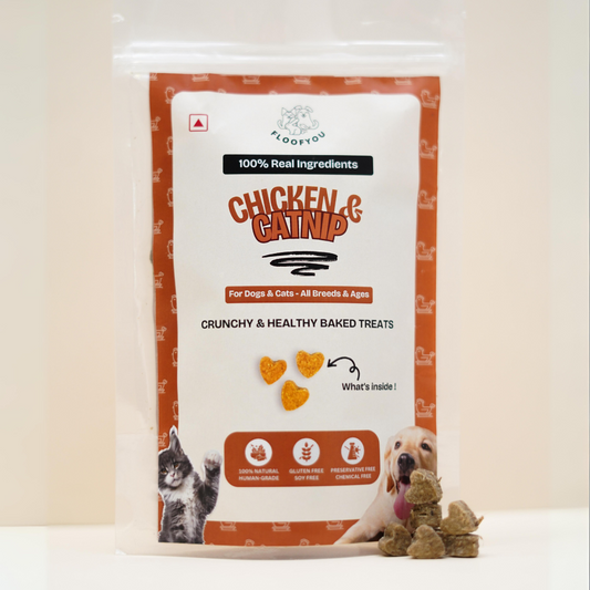 Chicken & Catnip Cat Treats, Biscuits, Cookies & Snacks