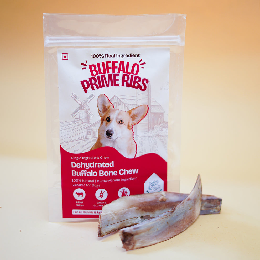 Buffalo Prime Ribs Bone Chew Dehydrated Natural Healthy Dog Treat ...