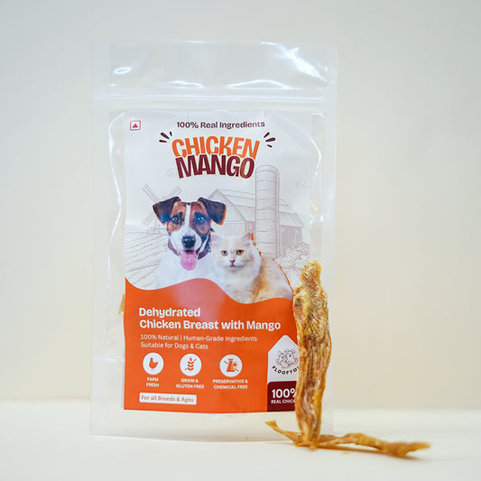Chicken Mango Jerky Strips Dehydrated Natural Healthy Cat Treat