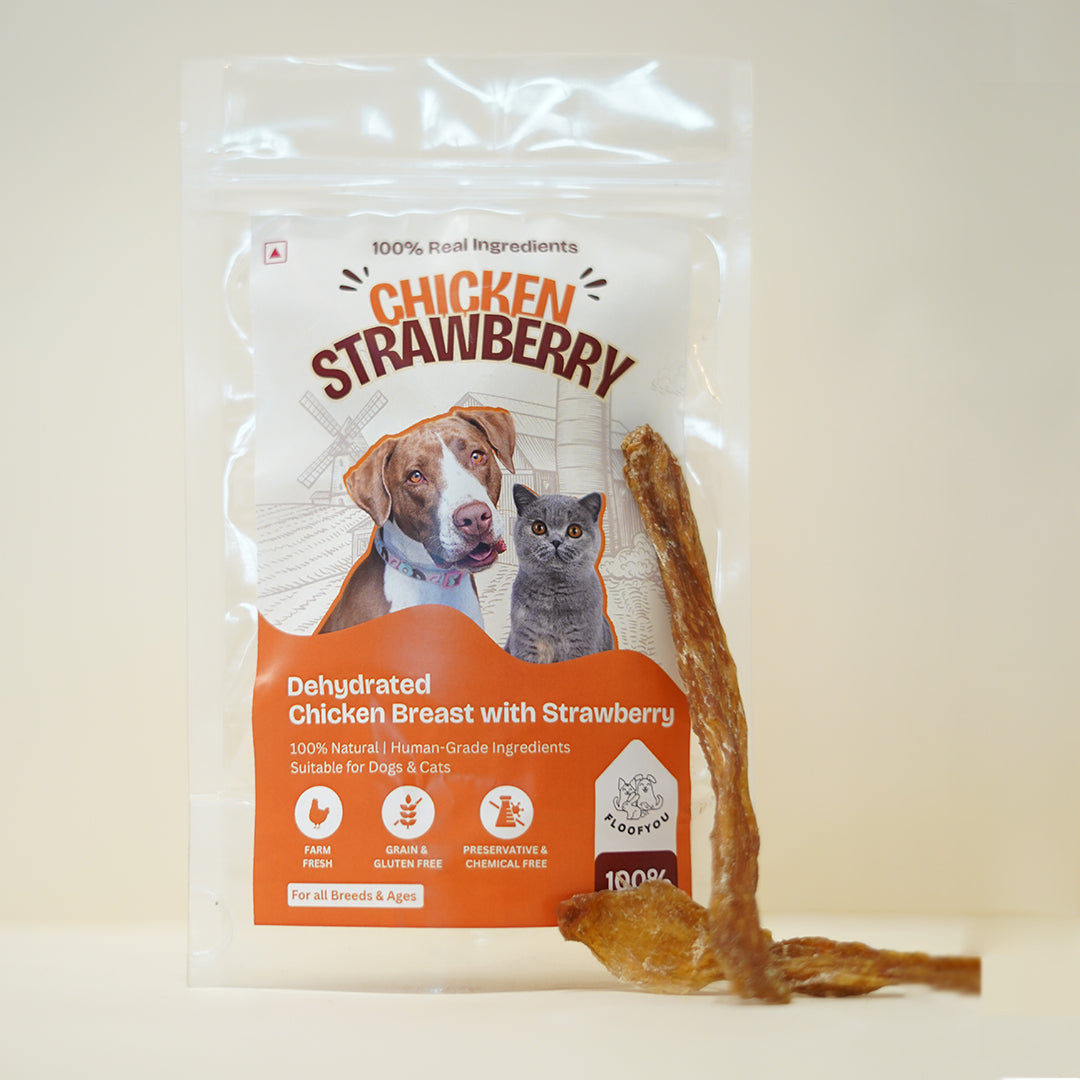 Chicken Strawberry Jerky Strips Dehydrated Natural Healthy Cat Treat