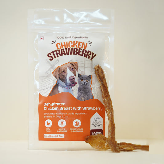 Chicken Strawberry Jerky Strips Dehydrated Natural Healthy Cat Treat