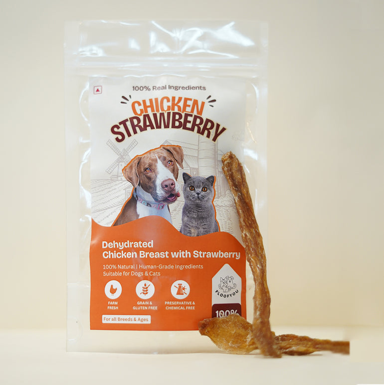 Chicken Strawberry Jerky Strips Dehydrated Natural Healthy Cat Treat