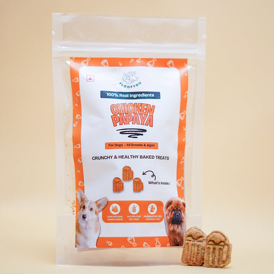 Chicken Papaya Natural Healthy Dog Treat
