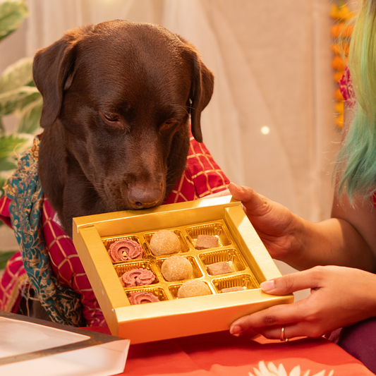 Mithai Box Treat, Snack & Cookies for Dogs