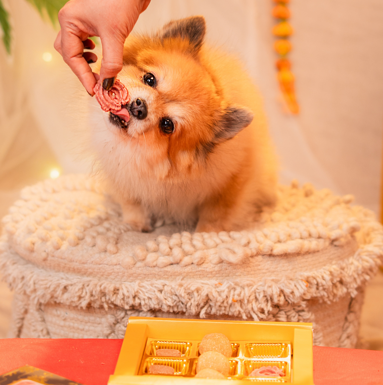 Mithai Box Treat, Snack & Cookies for Dogs