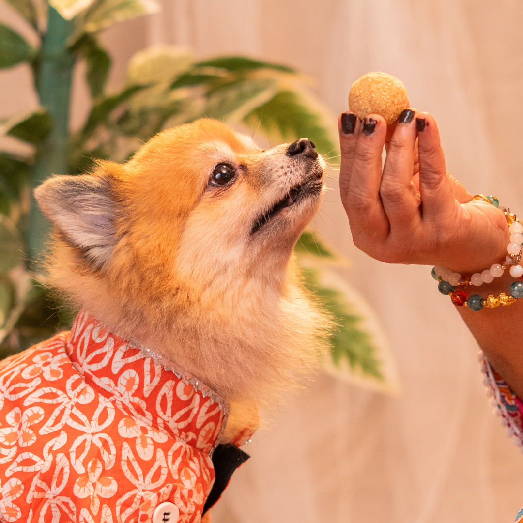 Laddoo Box Veg Treat, Snack & Cookies for Dogs