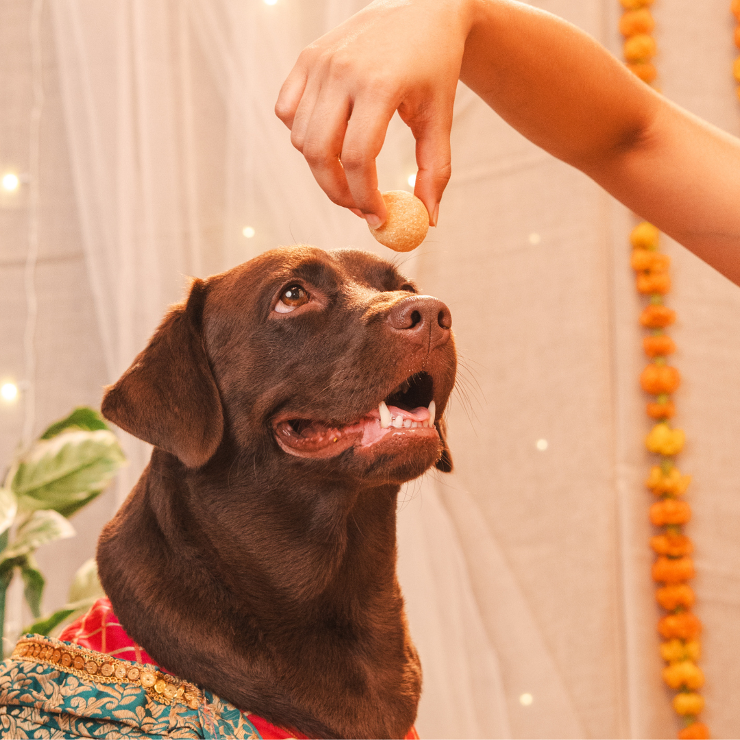 Laddoo Box Veg Treat, Snack & Cookies for Dogs