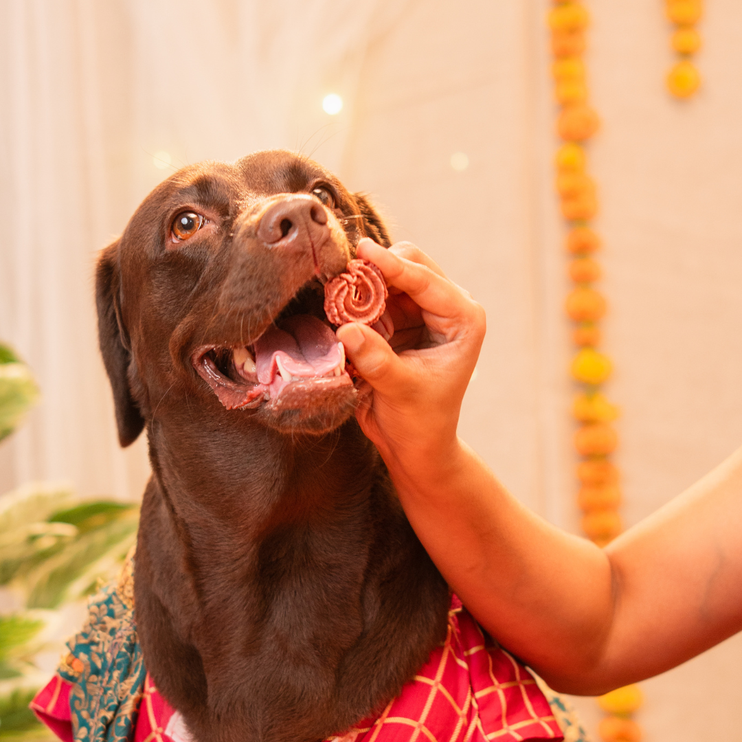 Mithai Box Treat, Snack & Cookies for Dogs