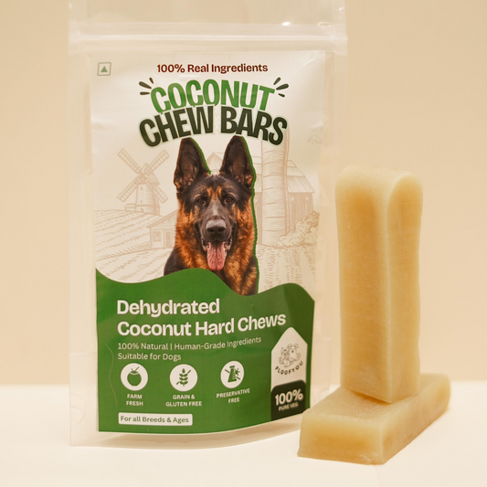 Coconut Hard Chew Bars Natural Healthy Dog Treat & Chew