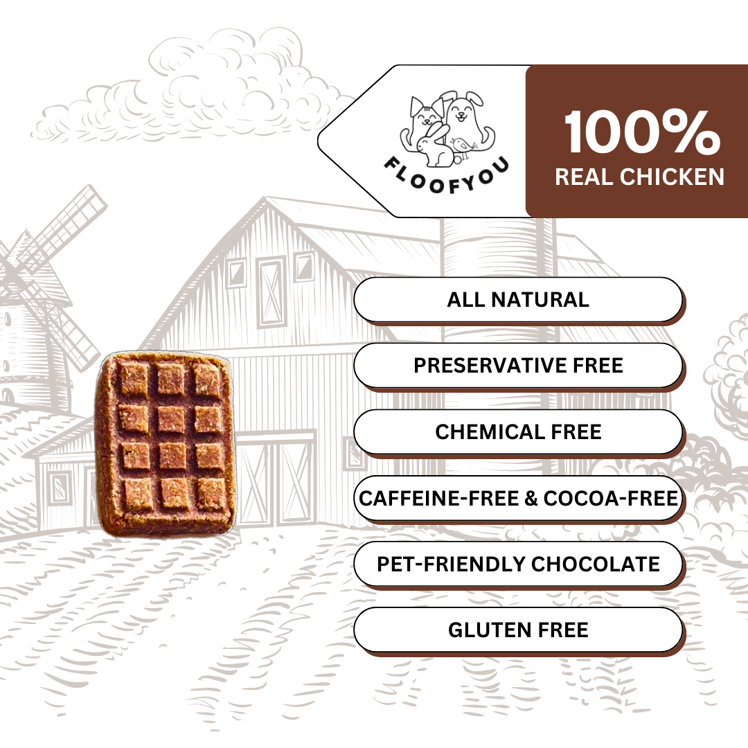 Pawcolate Mini Bars - Chocolate for Dogs