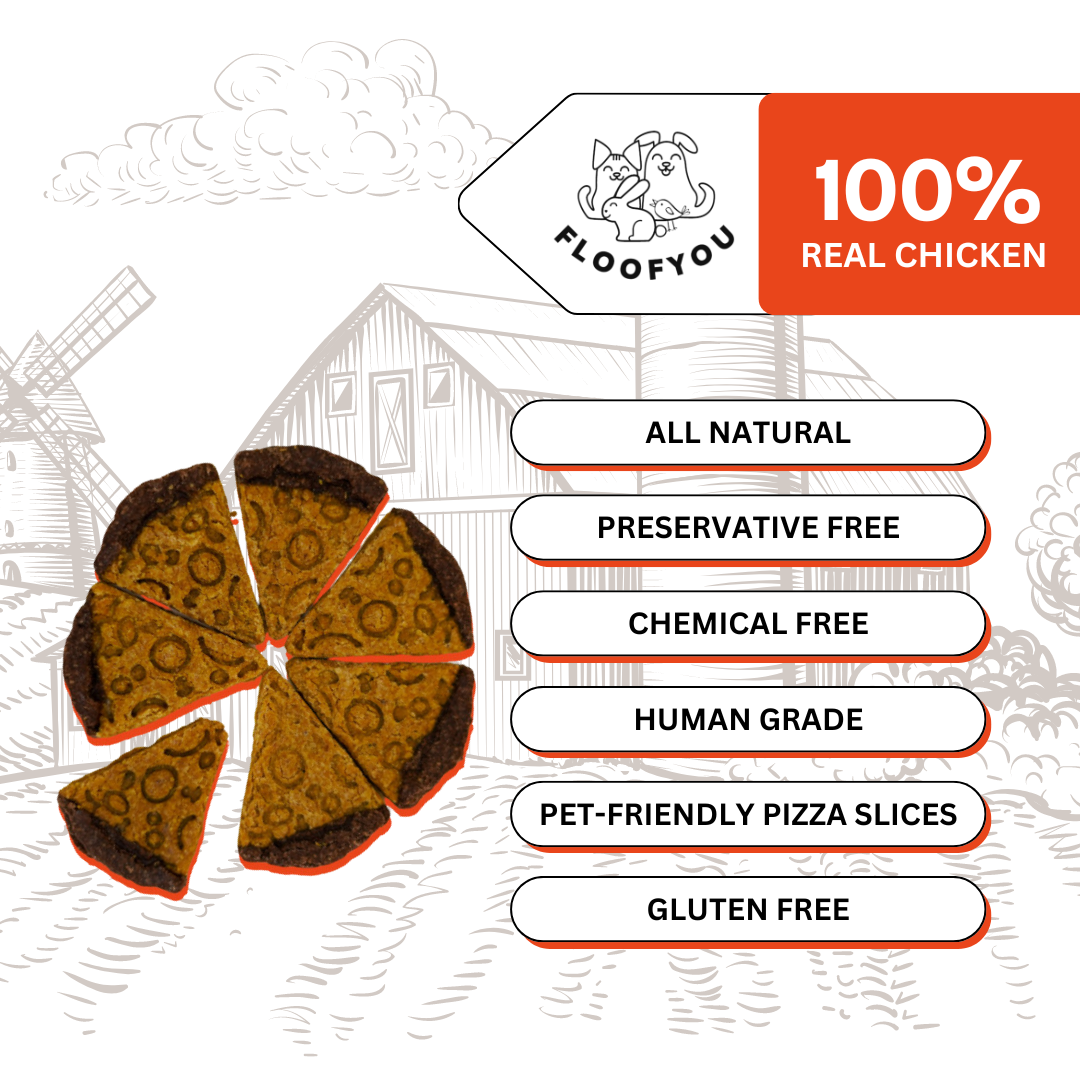 Mini Pawzza Chicken Cookies Natural Healthy Cat Treat & Snacks