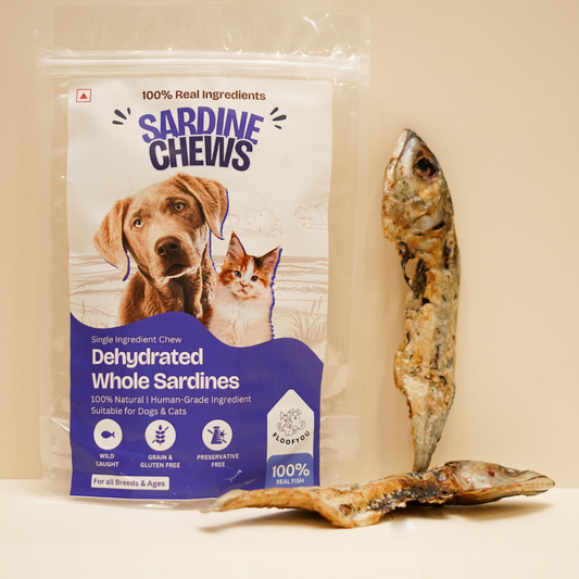 Sardines Fish Whole Dehydrated Jerky Natural Healthy Dog & Cat Treat
