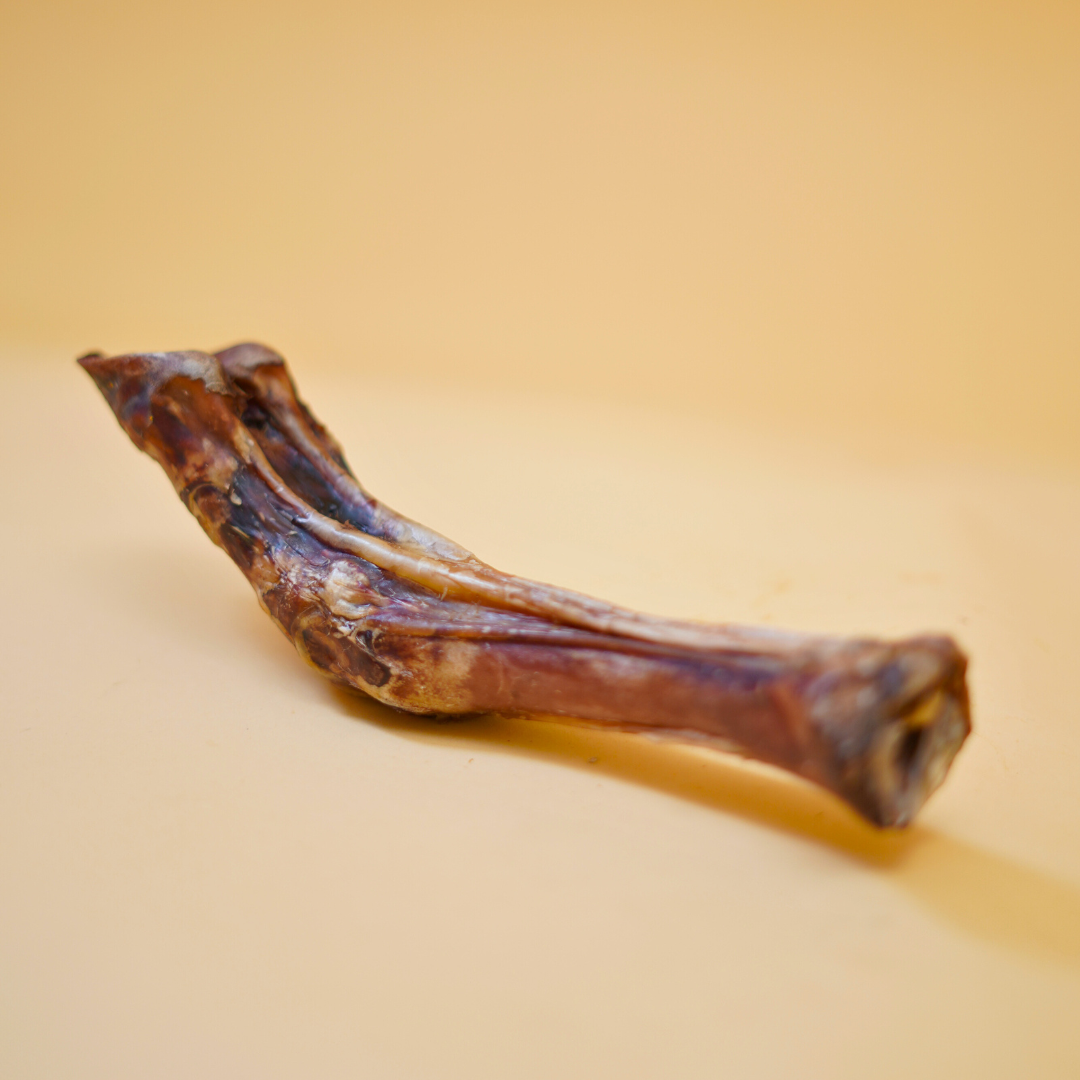 Buffalo Trotter Bone Chew Dehydrated Natural Healthy Dog Treat