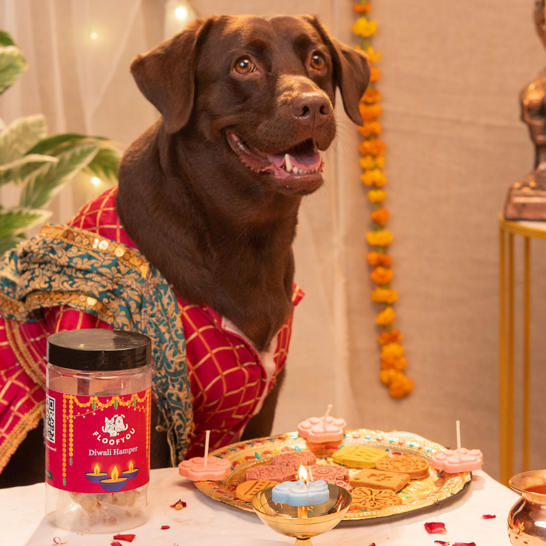 Diwali Hamper Treats, Snacks & Cookies for Dogs & Cats