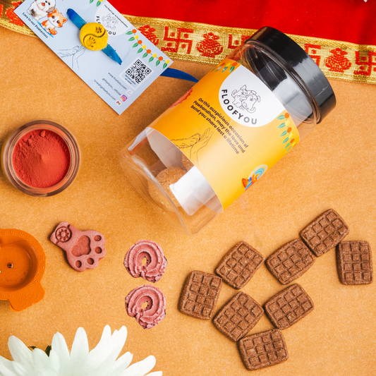 Pawbandhan Hamper Treats, Snacks & Cookies for Cats