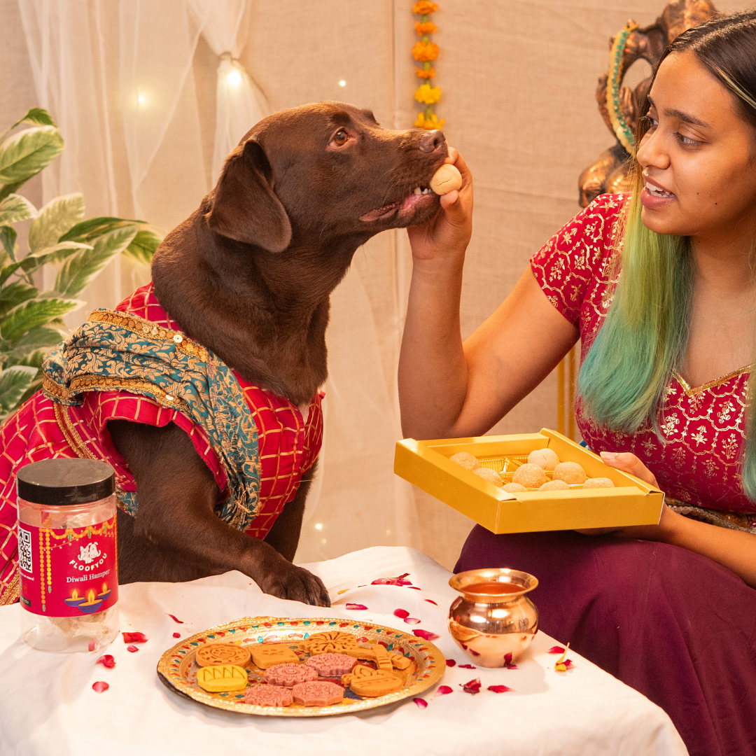 Diwali Hamper Treats, Snacks & Cookies for Dogs & Cats