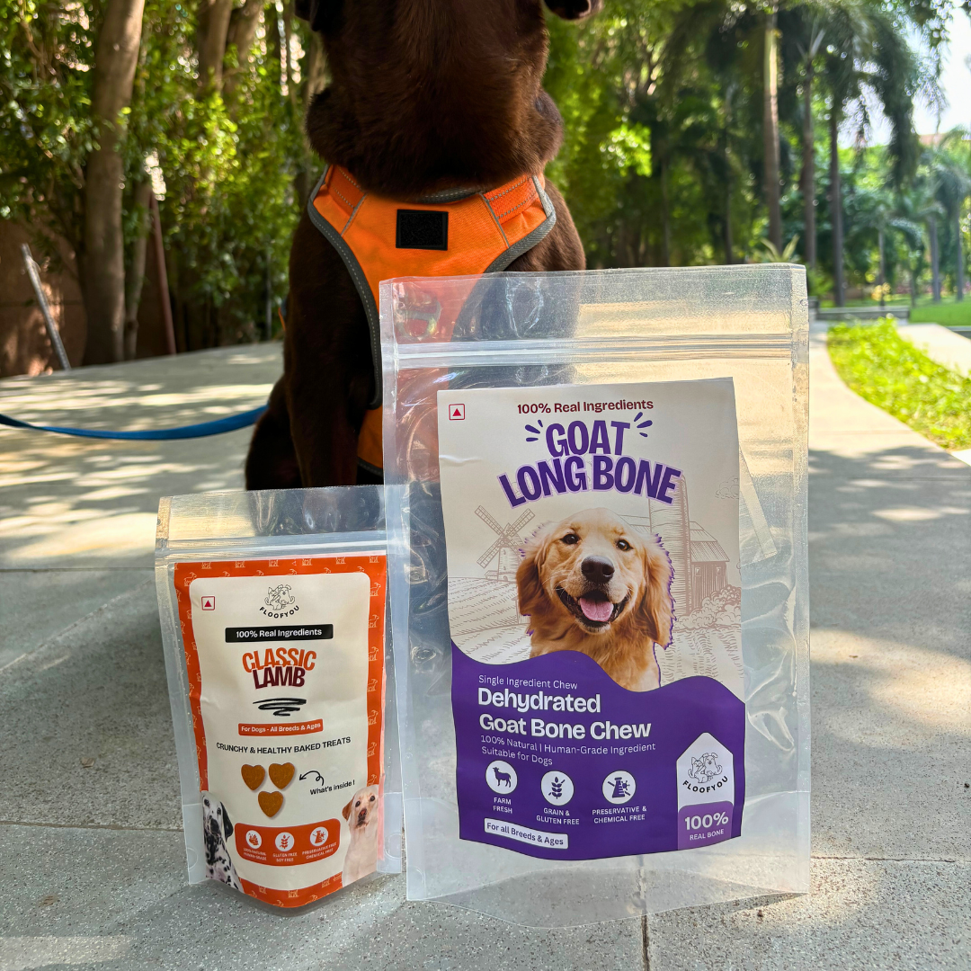 Lamb flavoured Chew + Treats : COMBO