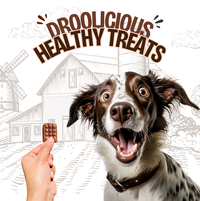 Pawcolate Mini Bars - Chocolate for Dogs