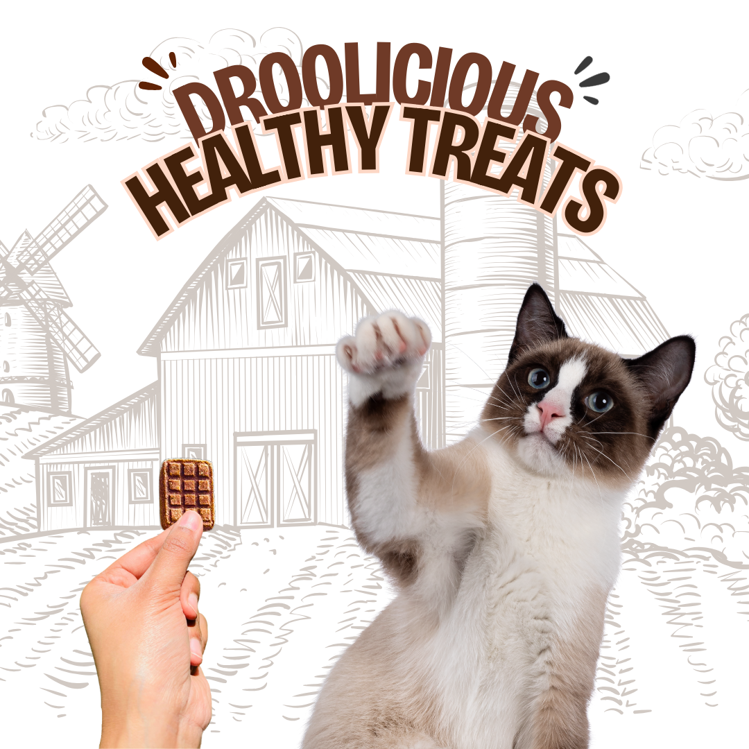 Pawcolate Mini Bars - Chocolate for Dogs