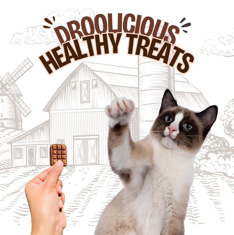 Pawcolate Mini Bars - Chocolate for Dogs