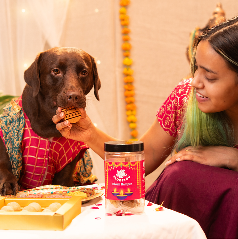 Diwali Hamper Treats, Snacks & Cookies for Dogs & Cats