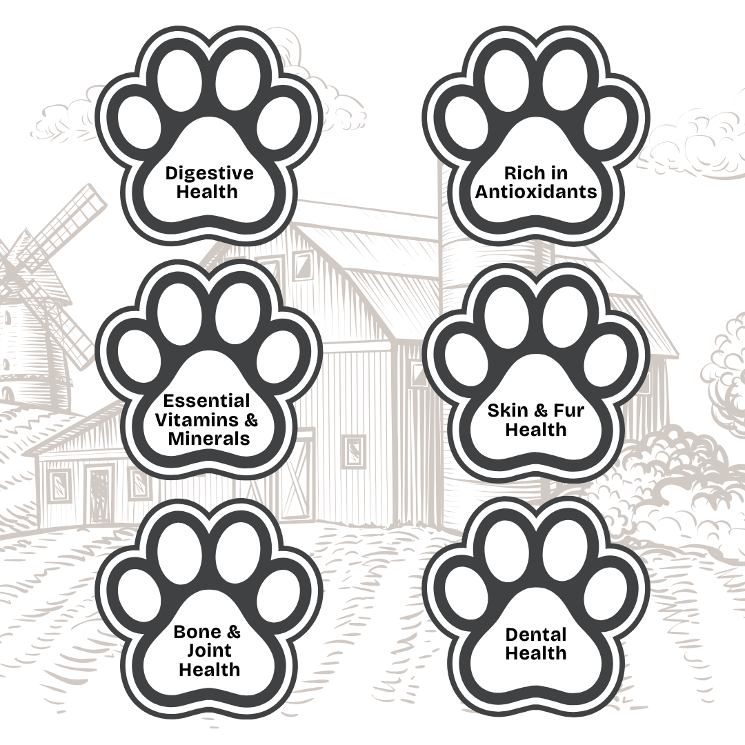 Pawcolate Mini Bars - Chocolate for Dogs