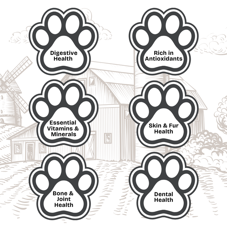 Pawcolate Mini Bars - Chocolate for Dogs