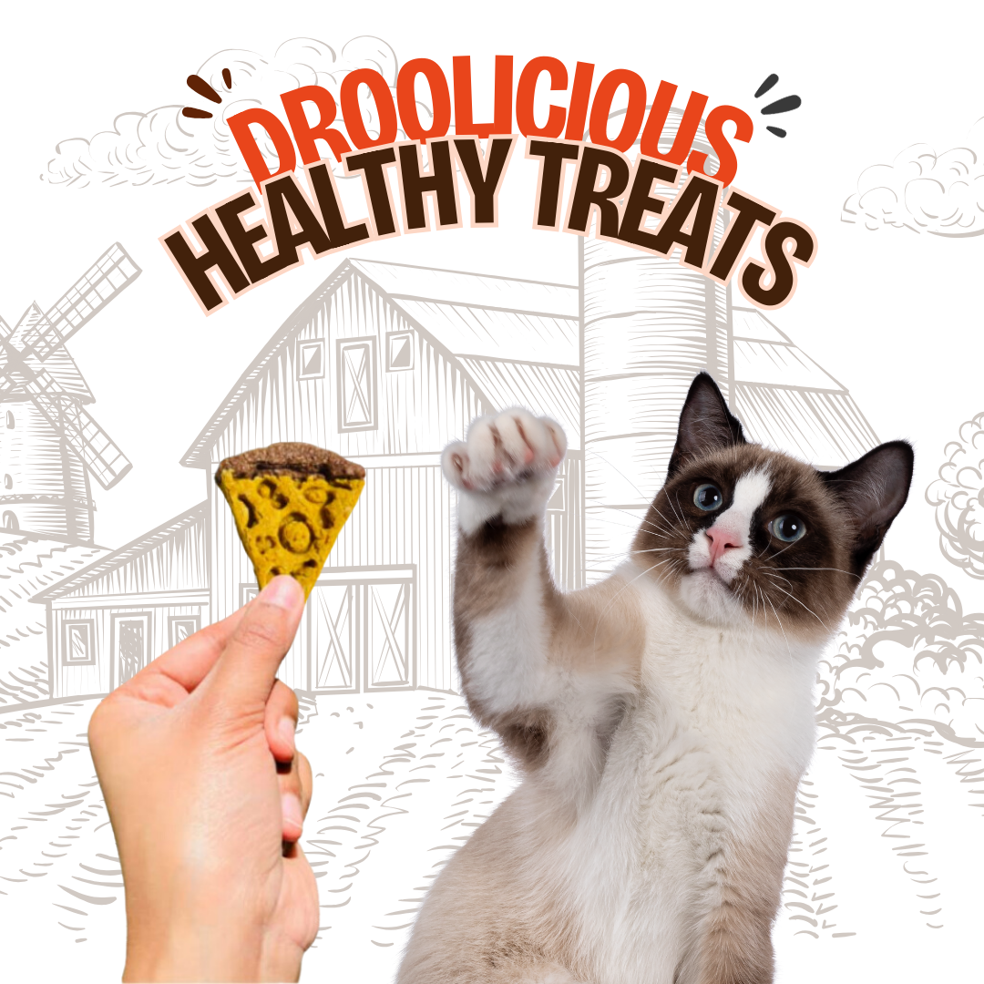 Mini Pawzza Chicken Cookies Natural Healthy Cat Treat & Snacks