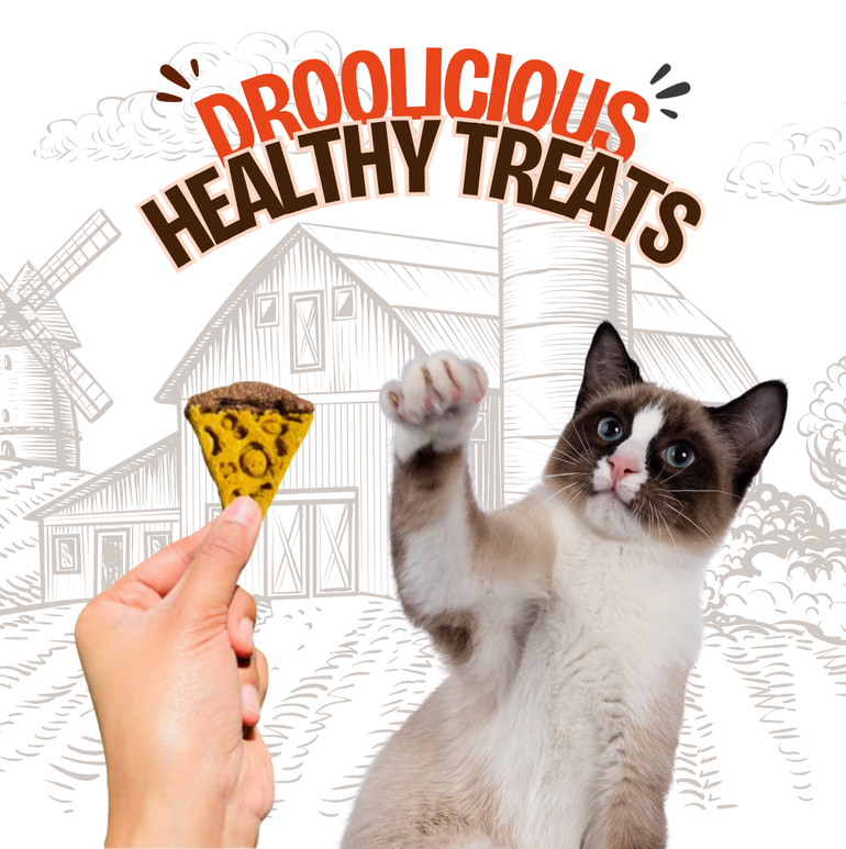 Mini Pawzza Chicken Cookies Natural Healthy Cat Treat & Snacks