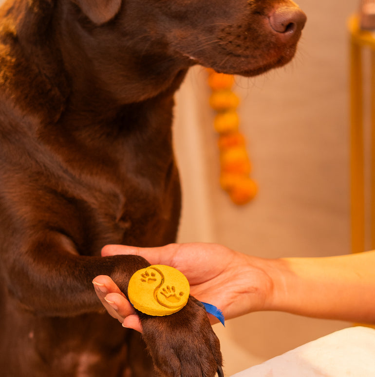 Pawkhi Edible Treat, Snack & Cookies for Dogs & Cats