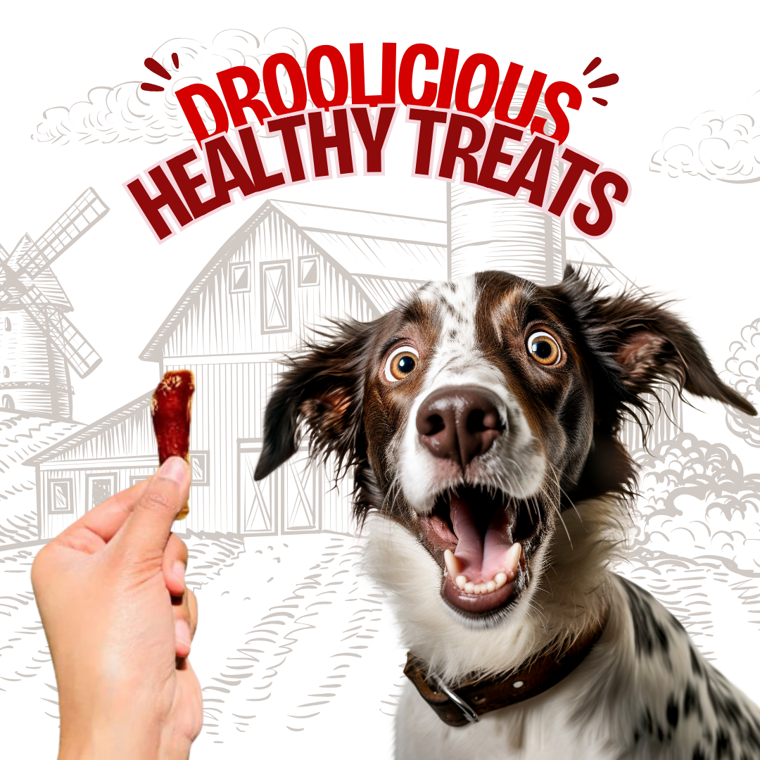 Buffalo Tendon Jerky Strips Dehydrated Natural Healthy Cat Treat Chew