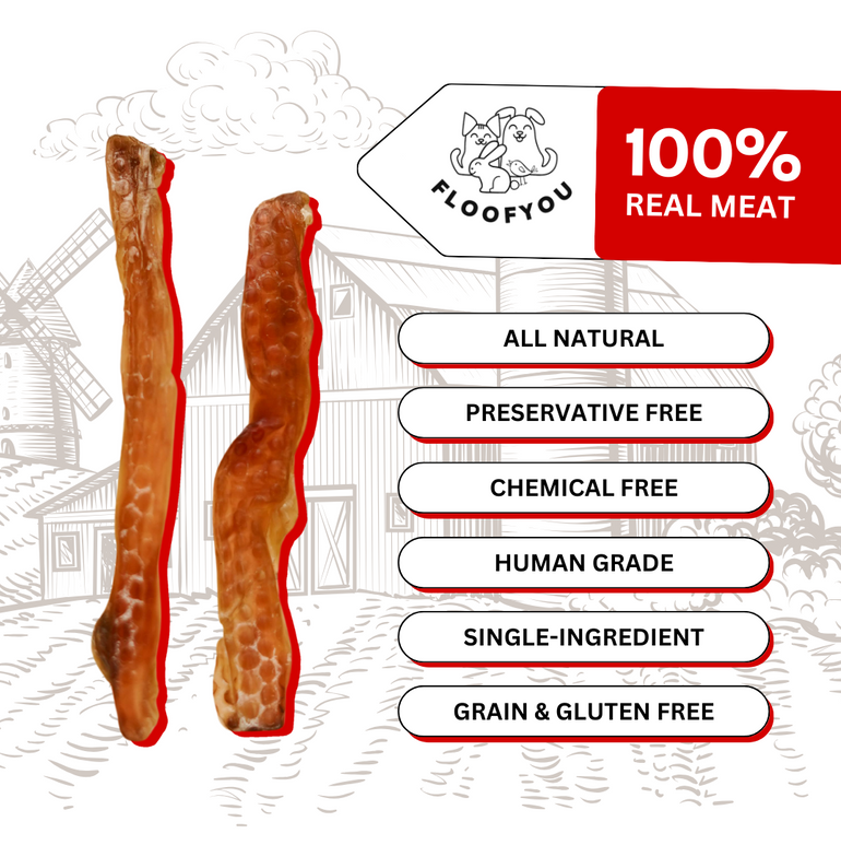 Buffalo Tendon Jerky Strips Dehydrated Natural Healthy Cat Treat Chew