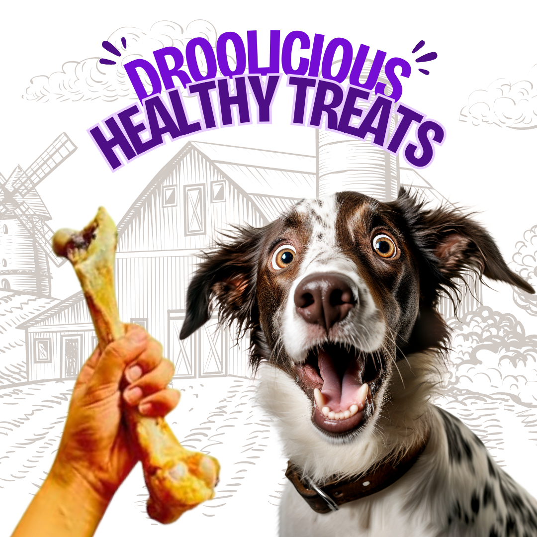 Goat Marrow Bone Chew Dehydrated Natural Healthy Dog Treat