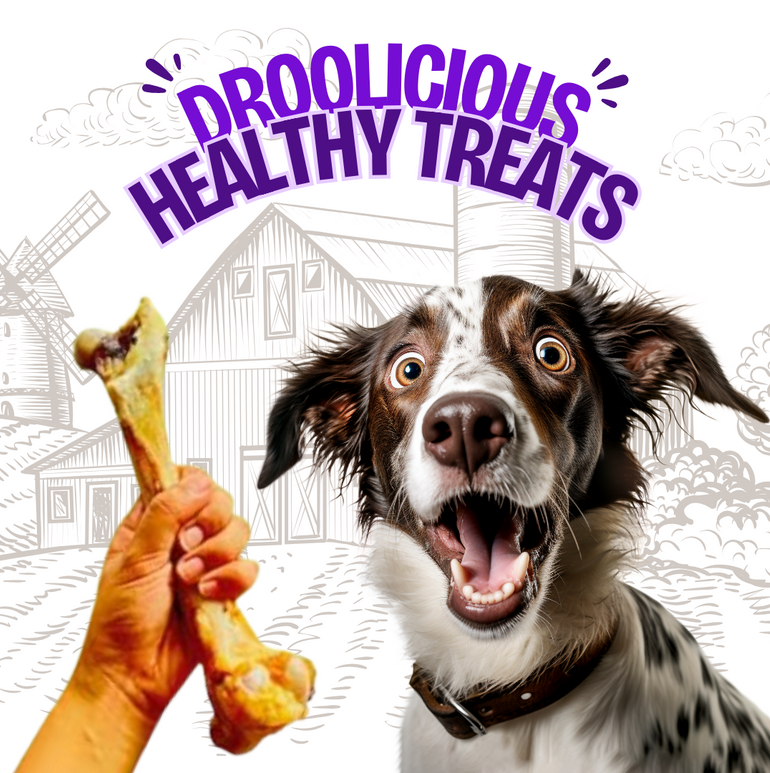 Goat Marrow Bone Chew Dehydrated Natural Healthy Dog Treat