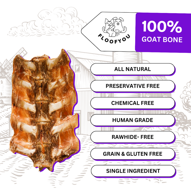 Goat Loin Bone Dehydrated Natural Healthy Dog Treat and Chew