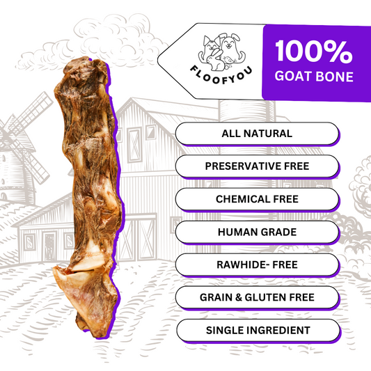 FloofYou Goat Neck Bone Dehydrated Natural Healthy Dog Treat and Chew