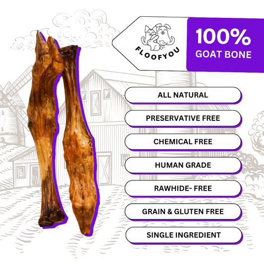 FloofYou Goat Trotters Bone Dehydrated Natural Healthy Dog Treat & Chew