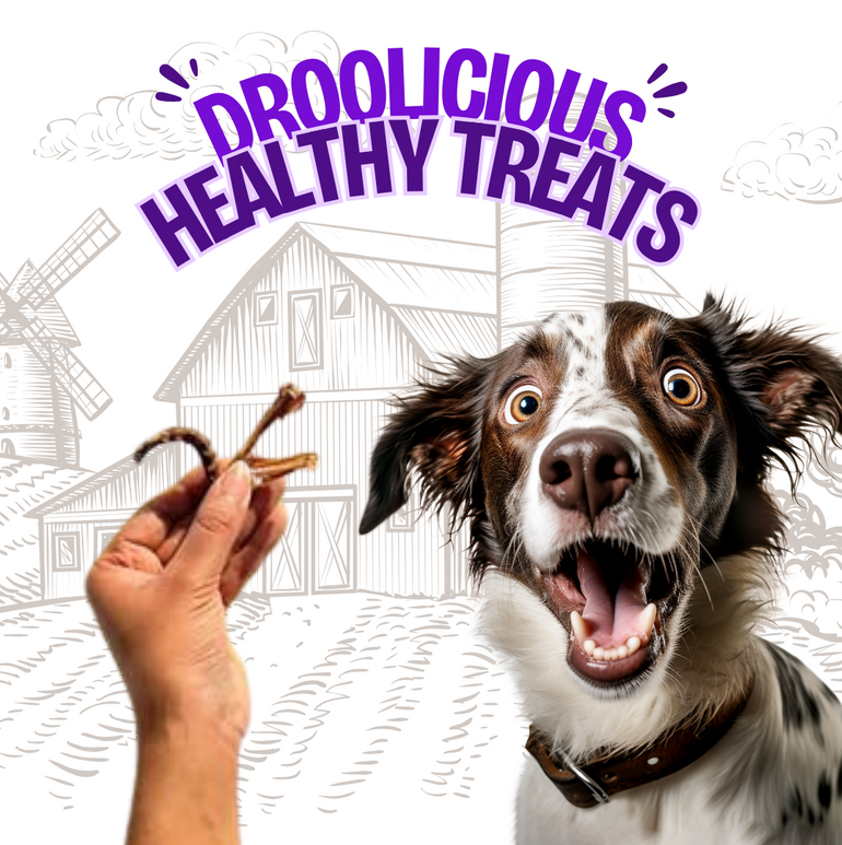 Quail Wings & Neck Chew Jerky Dehydrated Natural Healthy Dog Treat & Chew