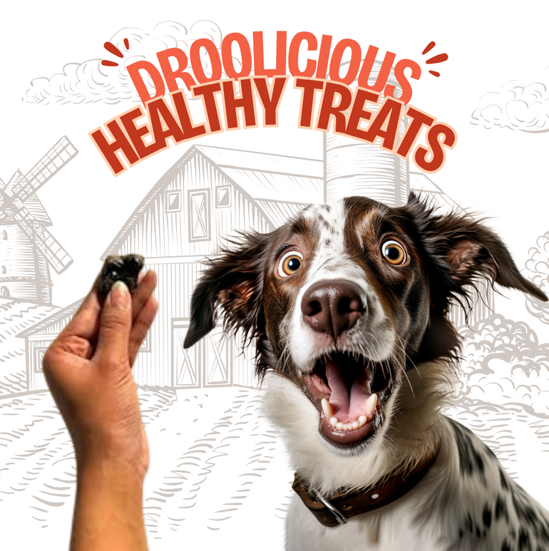 Goat Organ Pops Jerky Dehydrated Natural Healthy Cat Treat & Snack