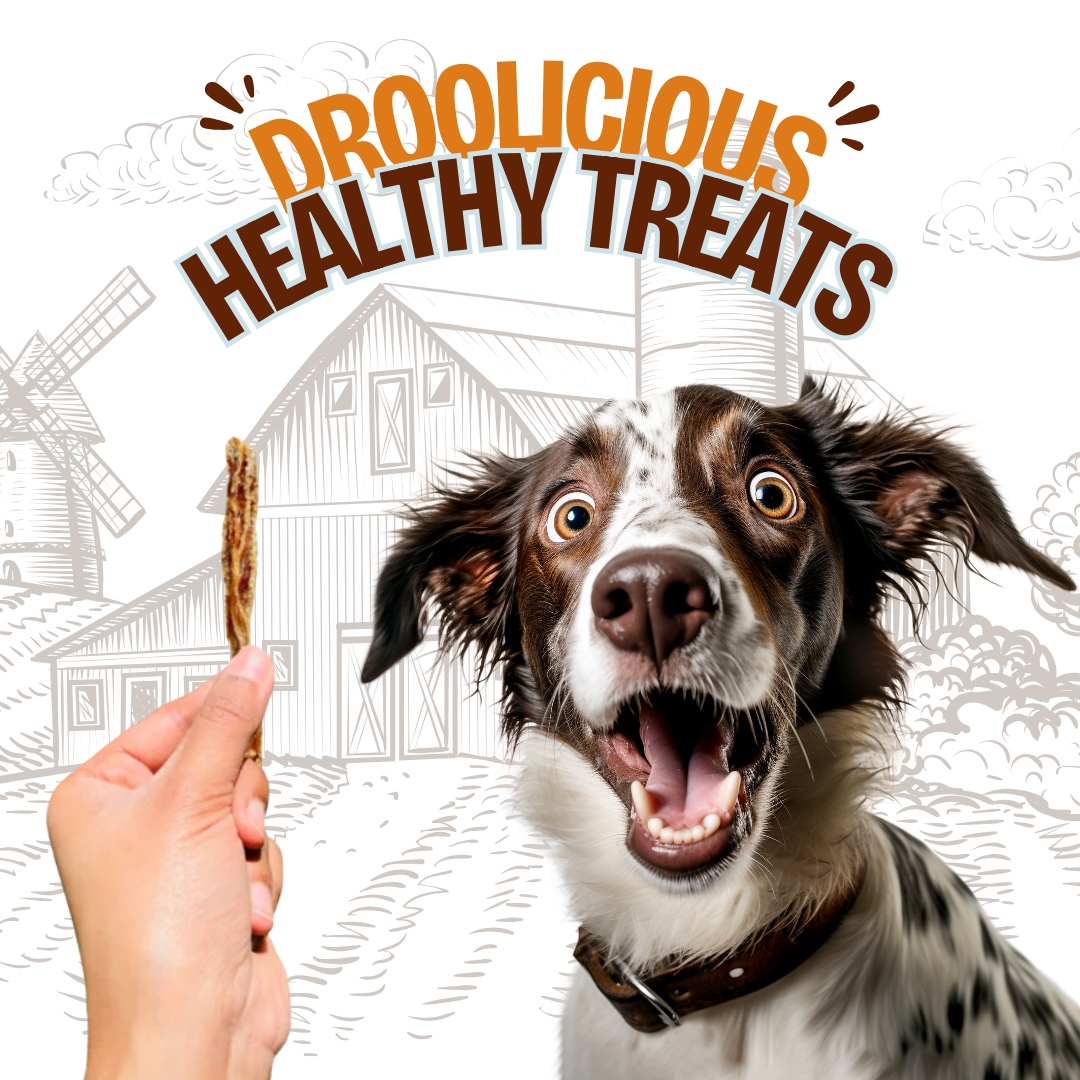 Chicken Breast Jerky Strips Dehydrated Natural Healthy Dog Treat