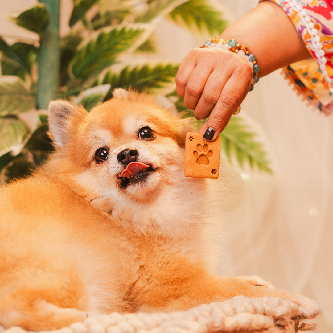 Diwali Hamper Treats, Snacks & Cookies for Dogs & Cats