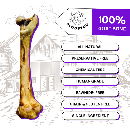 FloofYou Goat Bone Long Chew Dehydrated Natural Healthy Dog Treat