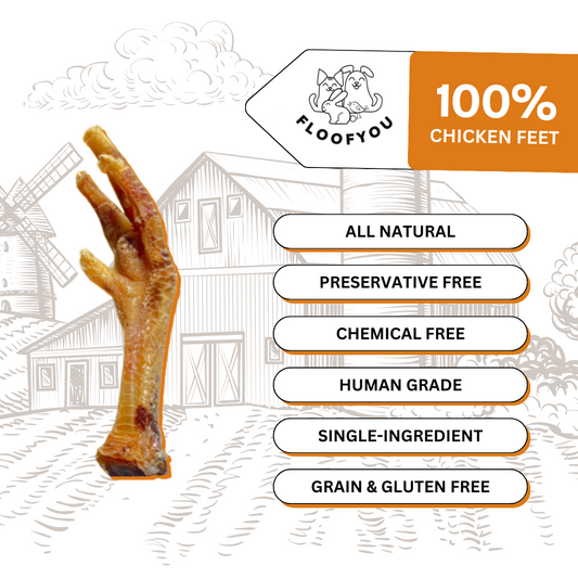 Dehydrated Chicken Feet Chew Natural Healthy Dog Treat