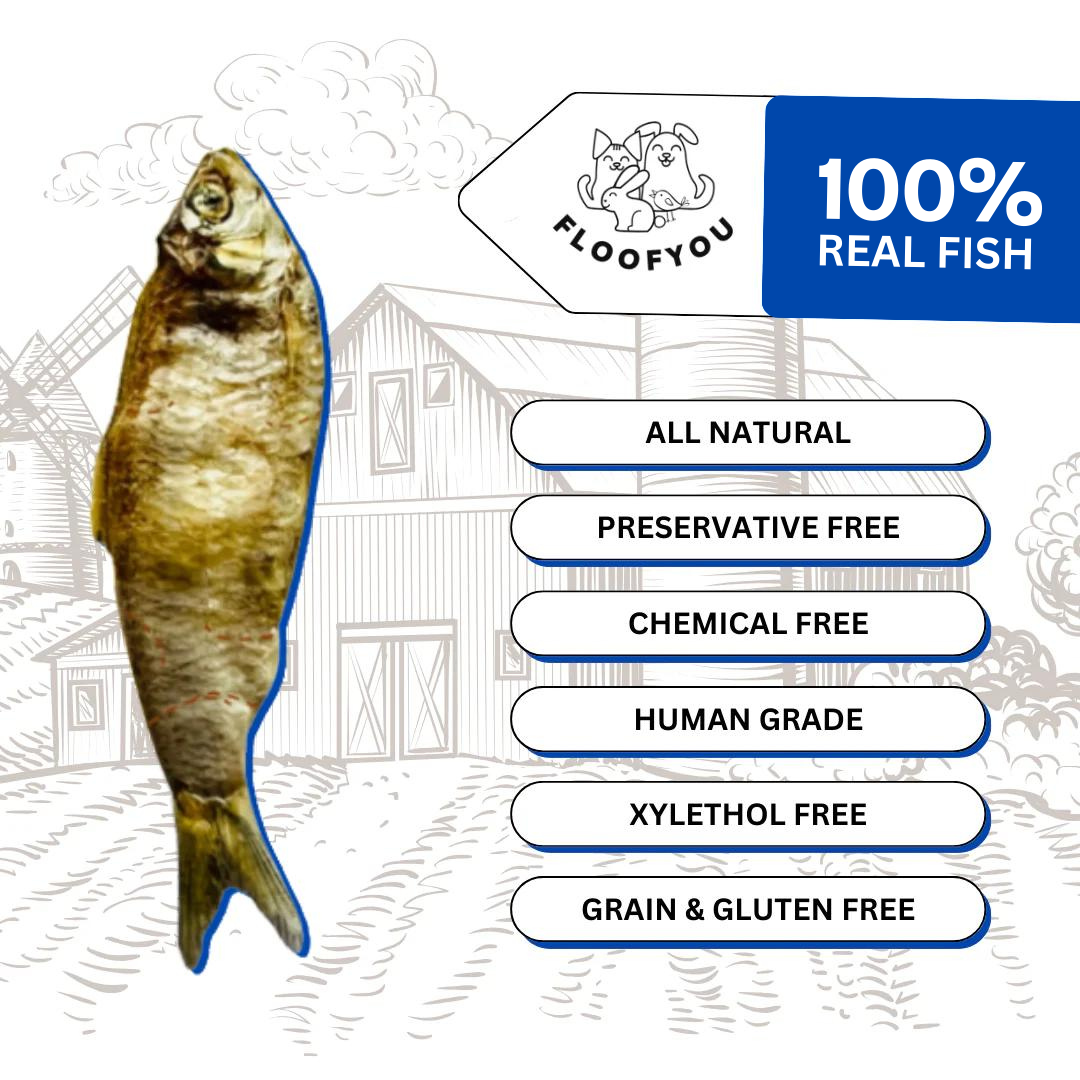 Anchovies Fish Whole Dehydrated Jerky Natural Healthy Dog Treat