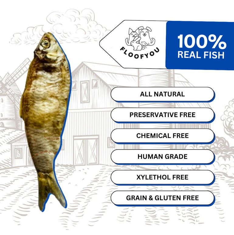 Anchovies Fish Whole Dehydrated Jerky Natural Healthy Dog Treat