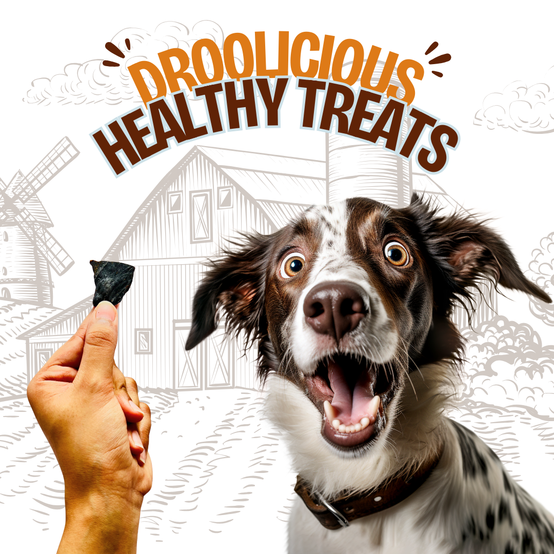 Chicken Liver Mini Bites Dehydrated Natural Healthy Cat Treat
